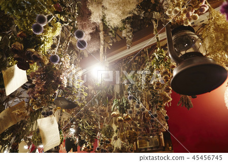 decoration of Jardin Nostalgic 45456745