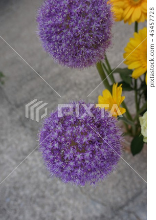 Opening celebration flowers 45457728