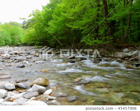 Fresh green Nasu Shiobara Fresh green Nasu Shiobara 45457906