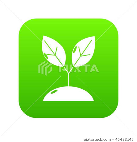 Plant sprout icon green vector 45458145