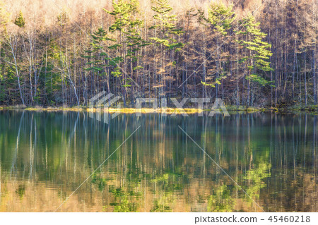 Shinshu Nagano Chino-shi Oku Tateshina Late Autumn 45460218