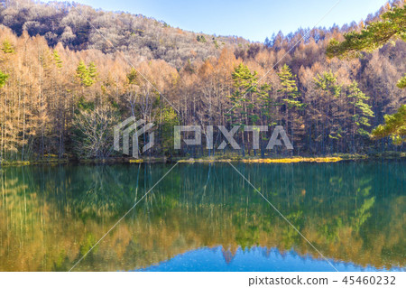 Shinshu Nagano Chino-shi Oku Tateshina Late Autumn 45460232