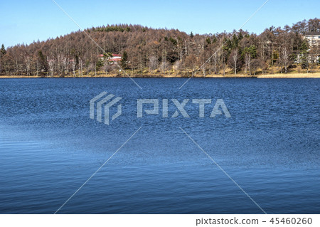 Shinshu Nagano Prefecture Kitasaku-gun Tateshina-cho Shirakogen Kogen Late Autumn Goddess Lake 45460260