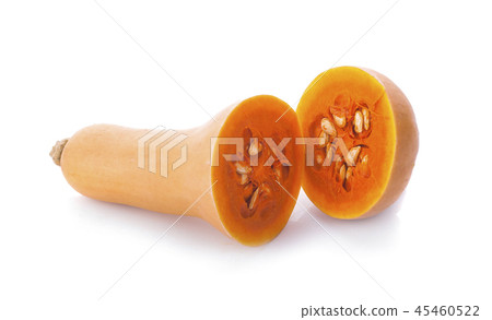 Butternut squash isolated on white background 45460522