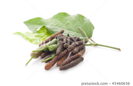 Long pepper or Piper longum isolated on white Long pepper or Piper longum isolated on white 45460636