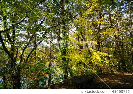 Goshikinuma Autumn leaves Fukushima Prefecture " 45460755