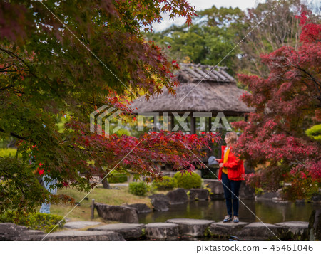 Beautiful garden in Japan Himeji Castle West Imperial Palace ruins garden Kokoen autumn leaves Himeji Park Himeji Castle Japanese garden in Himeji Castle 45461046