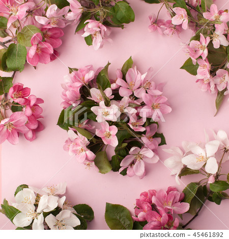 Festive flower apple tree composition on the paste Festive flower apple tree composition on the paste 45461892