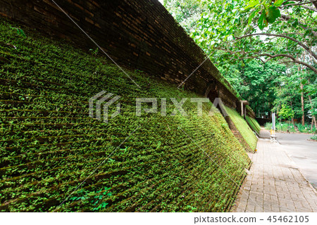 Ancient tunnel in Wat Umong temple,Thailand 45462105
