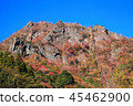 Mt. 45462900