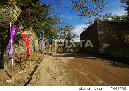 敦賀城堡之路 45463068