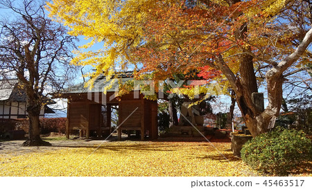 秋天的Dairyu-ji寺和Yamamon（福島縣，會津若松市） 45463517