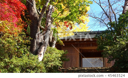 秋天的Dairyu-ji寺和Yamamon（福島縣，會津若松市） 45463524