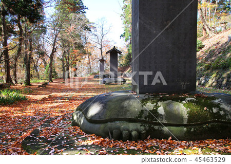 Matsudaira Tomb(福島縣,會津若松市) Matsudaira Tomb(福島縣,會津若松市) 45463529