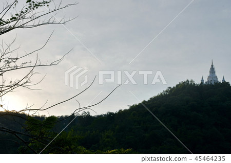Castle, located on the hill. 45464235