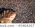 Leaves dry on gravel. 45464267