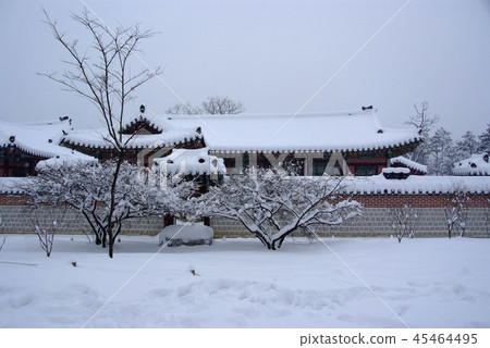 Winter landscape of Kyeongbok Palace 45464495