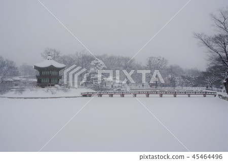 Winter landscape of Kyeongbok Palace 45464496