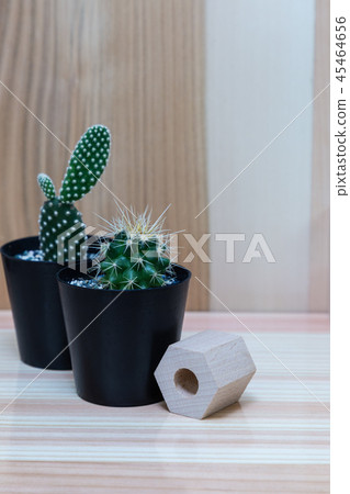 Mono cactus. The background is cedar board. 45464656