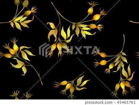 Seamless pattern, background with wild rose 45465761