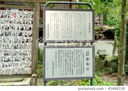 Sumiyoshi Shrine 45466330