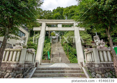 Sumiyoshi Shrine, a historic site in Ome City, Tokyo 45466339