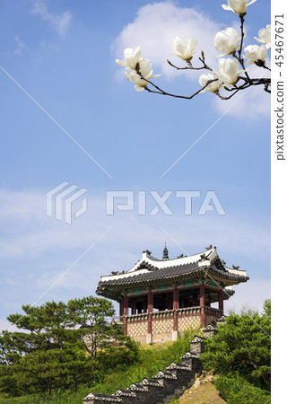 Suwon Hwaseong Suwon Hwaseong 45467671