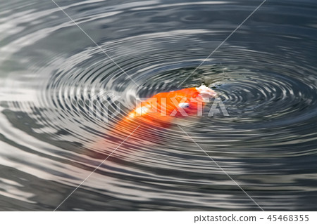 針灸和水環 針灸和水環 45468355