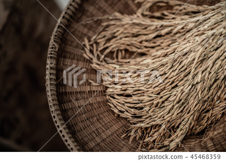 Thai rice paddy on wickerwork Thai rice paddy on wickerwork 45468359