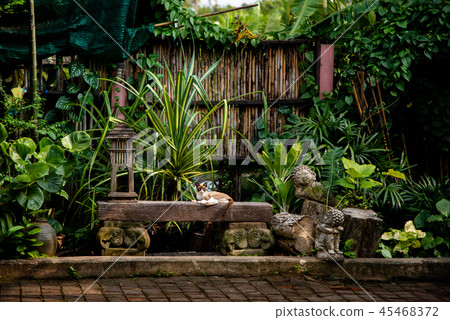 Cat lay down at chair in garden 45468372