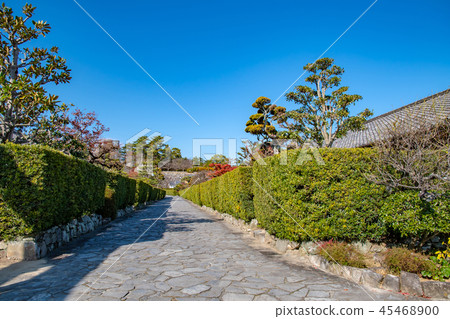 三重縣，秋天的城堡大廳 45468900