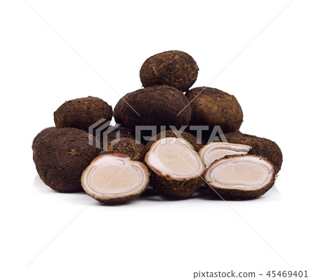 Barometer Earthstars, Mushroom isolated on white  45469401