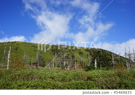 Let's go Hachimantai of autumnal leaves Let's go Hachimantai of autumnal leaves 45469835