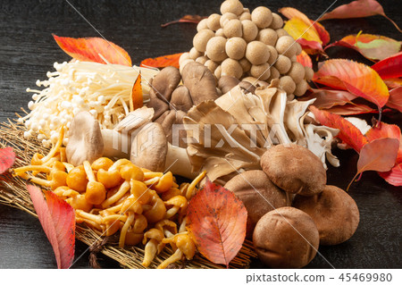 Assorted mushrooms Assorted mushrooms 45469980