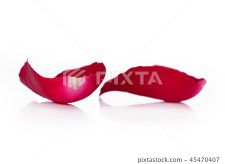 Beautiful rose petals on a white background Beautiful rose petals on a white background 45470407