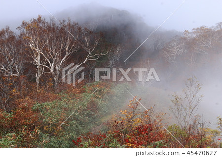 The road to the top of the Itoyo mountain peak in the Tohoku Itoyo mountain area The road to the top of the Itoyo mountain peak in the Tohoku Itoyo mountain area 45470627