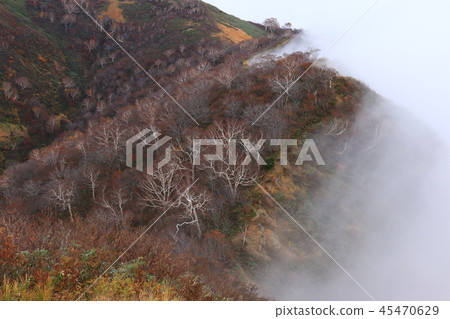 The road to the top of the Itoyo mountain peak in the Tohoku Itoyo mountain area The road to the top of the Itoyo mountain peak in the Tohoku Itoyo mountain area 45470629