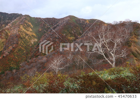 通往東北Itoyo山區的Itoyo山峰頂部的道路 45470633