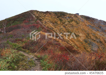 通往東北Itoyo山峰Iitoyama秋天的頂部的道路Mikuni小屋的秋葉 45470635