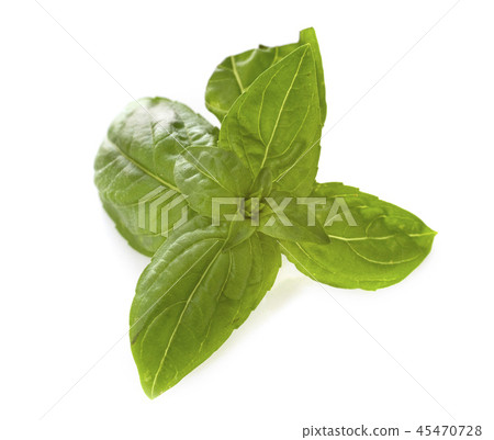 basil in studio basil in studio 45470728