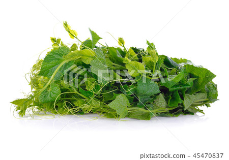 Momordica charantia L. green leave 45470837