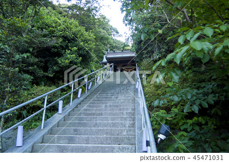 Amanova Shinmei Shrine 45471031