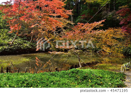 Nishiyaso Nishiyaso 45471195