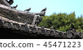 The roof of a temple and a pigeon 45471223