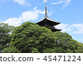 Greenery and temples 45471224