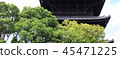 Greenery and temples 45471225