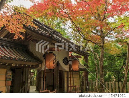 Eigen-ji Temple秋葉 45471951