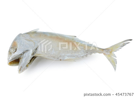 mackerel isolated on white background mackerel isolated on white background 45473767