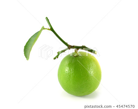 Fresh lime Isolated on white background Fresh lime Isolated on white background 45474570