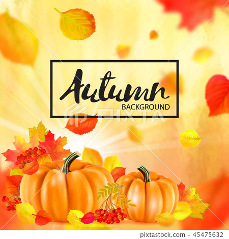 Background of orange autumn pumpkins. Vector 45475632